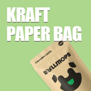 Kraft paper bag